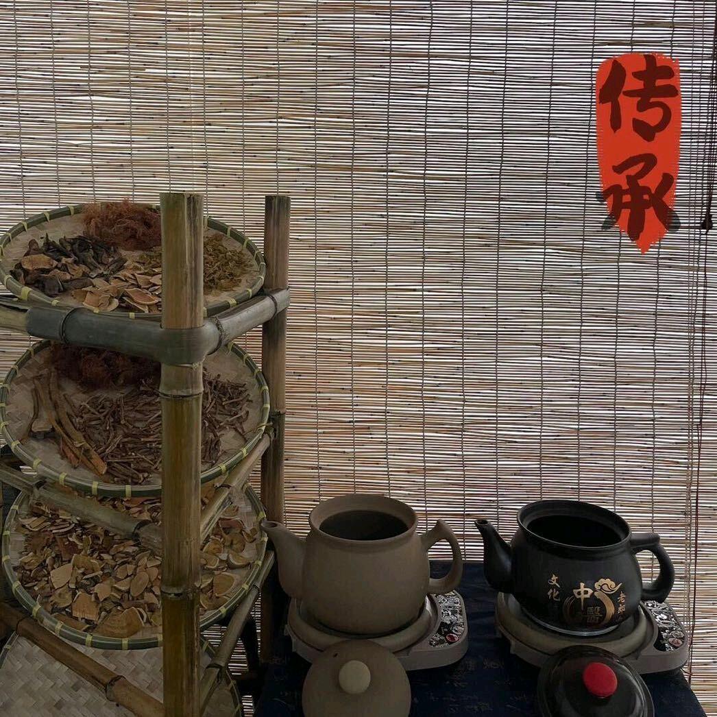 野草🌿化石