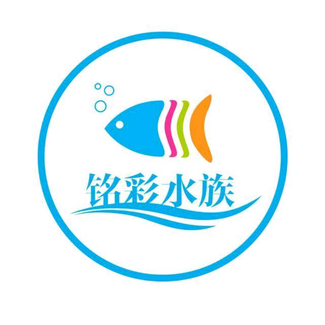 铭彩水族(小号)