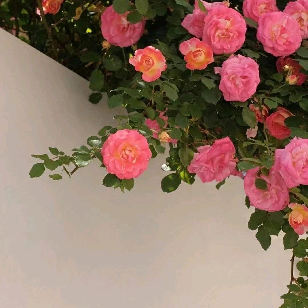 %