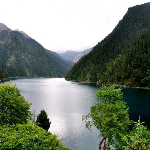 林峰.