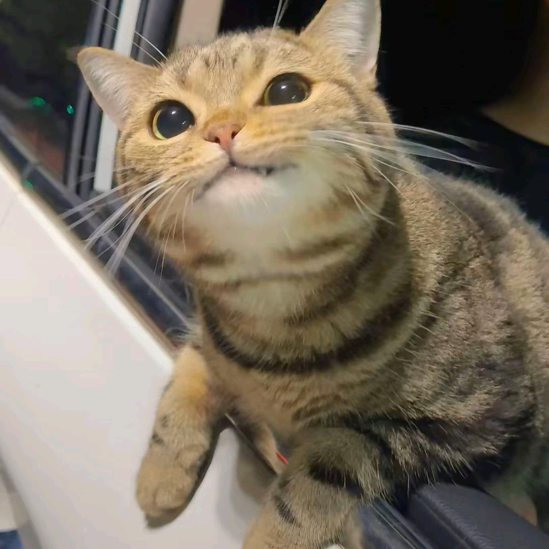 🍐解