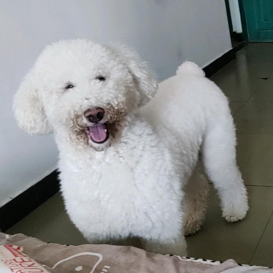 昆明叁雀壹棋牌