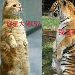 独酌悲秋寒月影