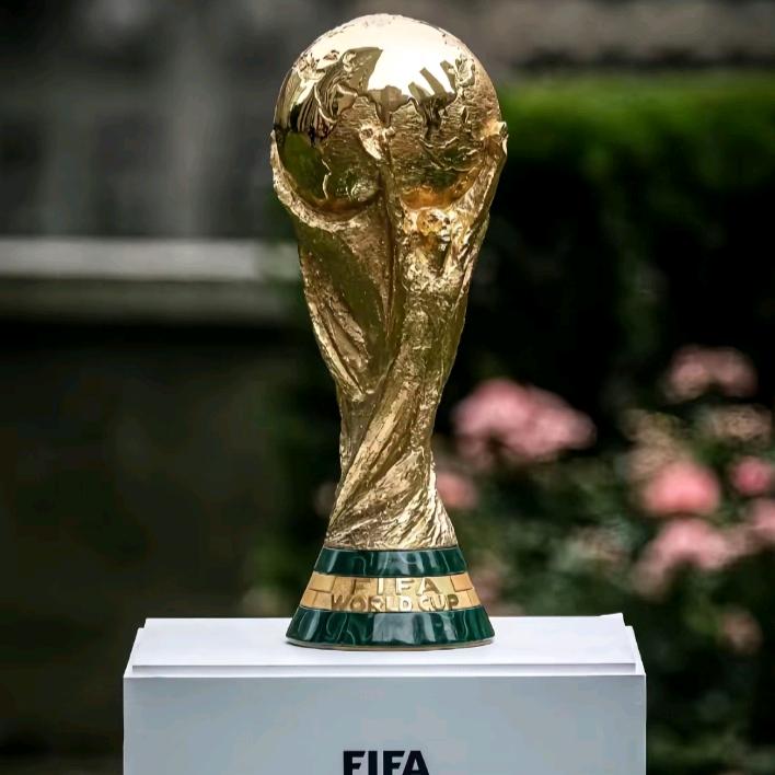 聚乾说⚽