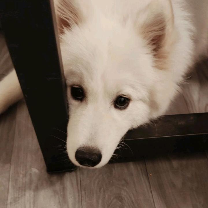 念清~