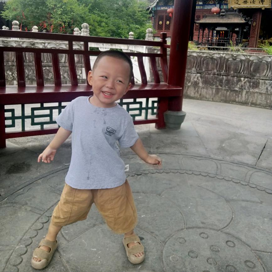 老哈