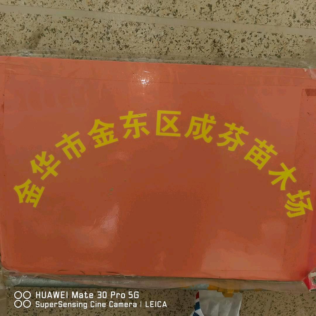 成芬苗木场》