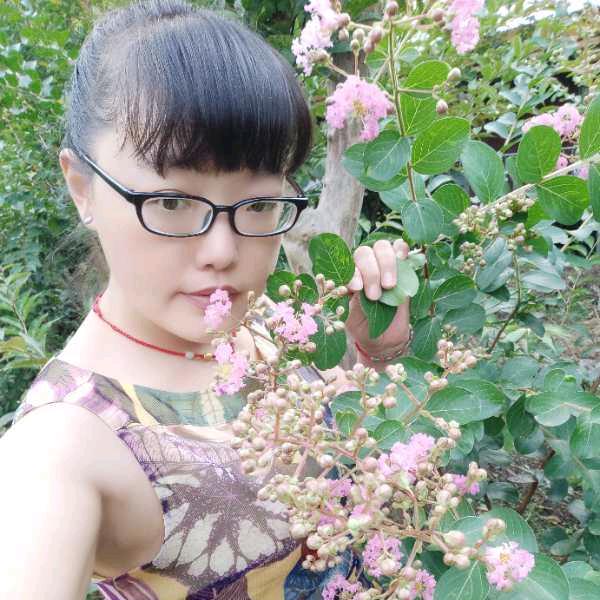 星语心愿