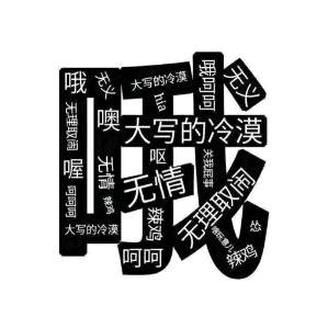 xiao西西
