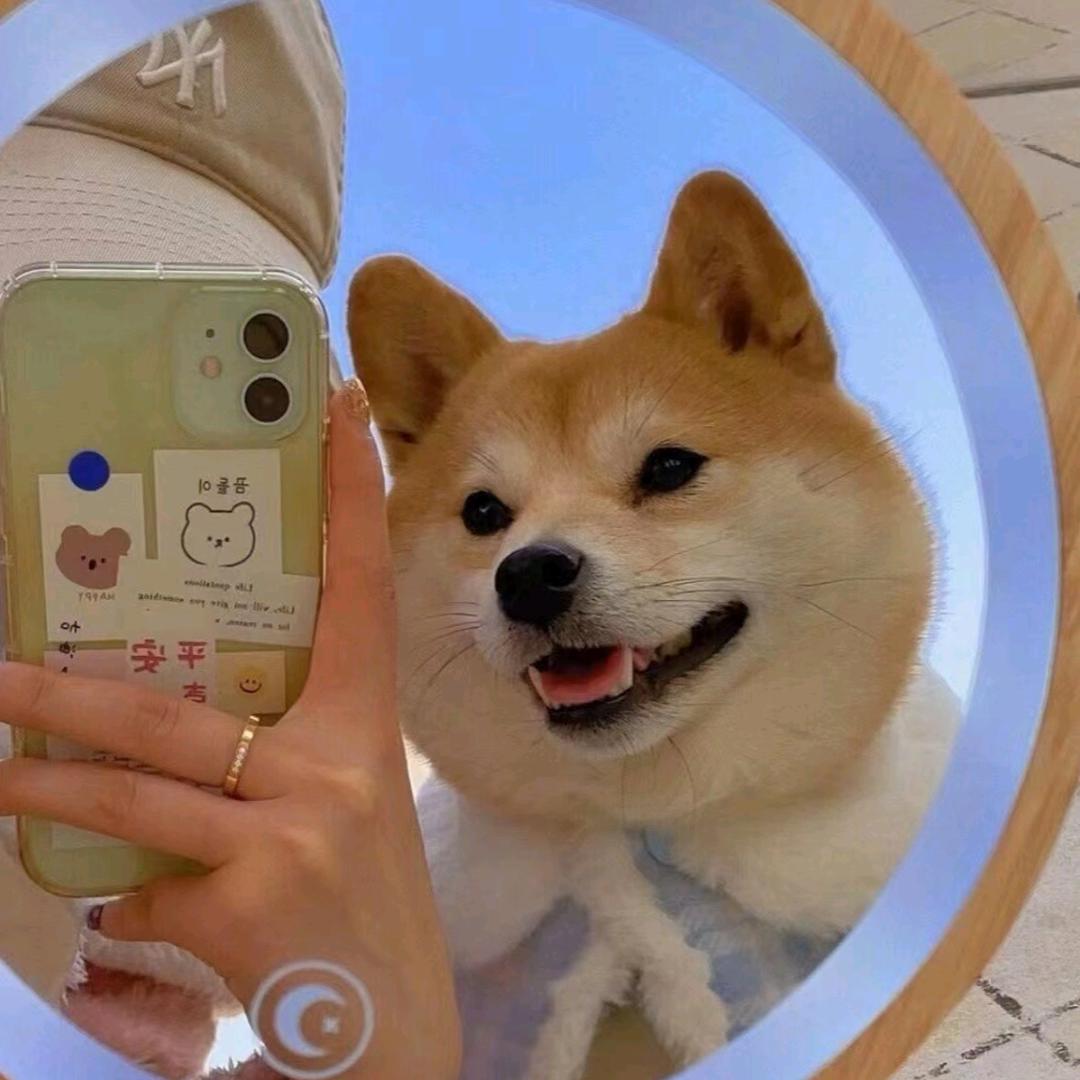 疯狂的amazing