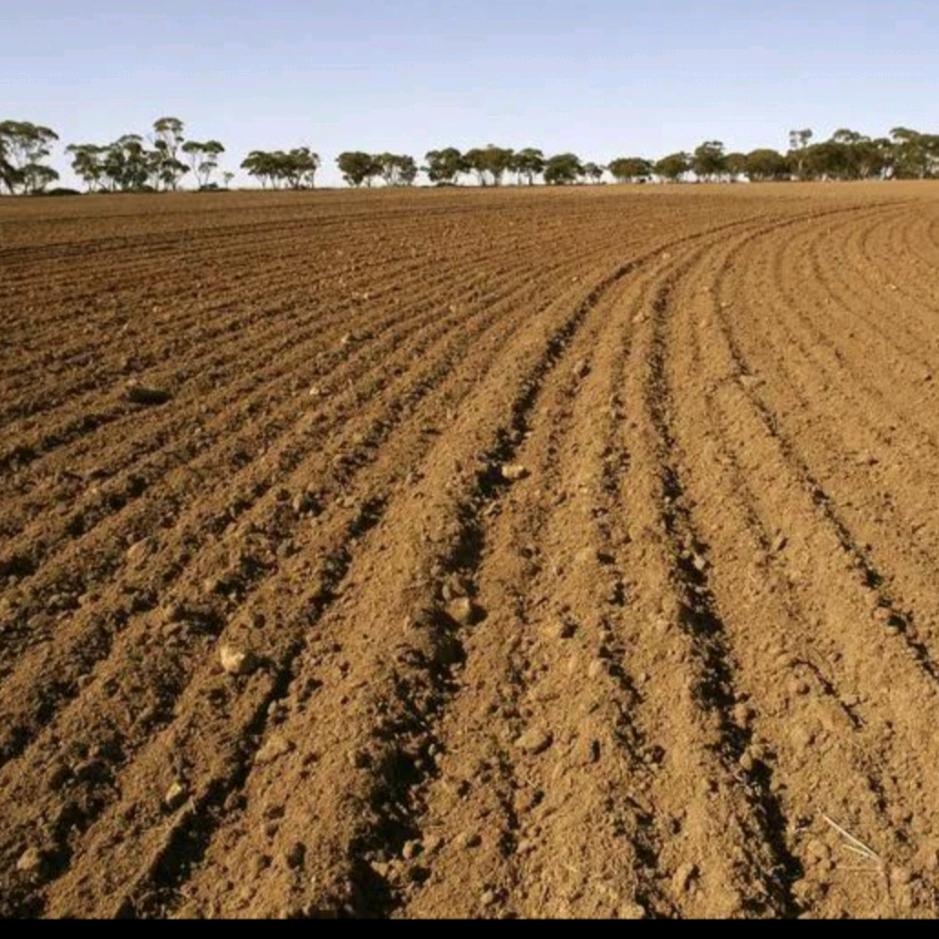 顾家 蓝天家居江平