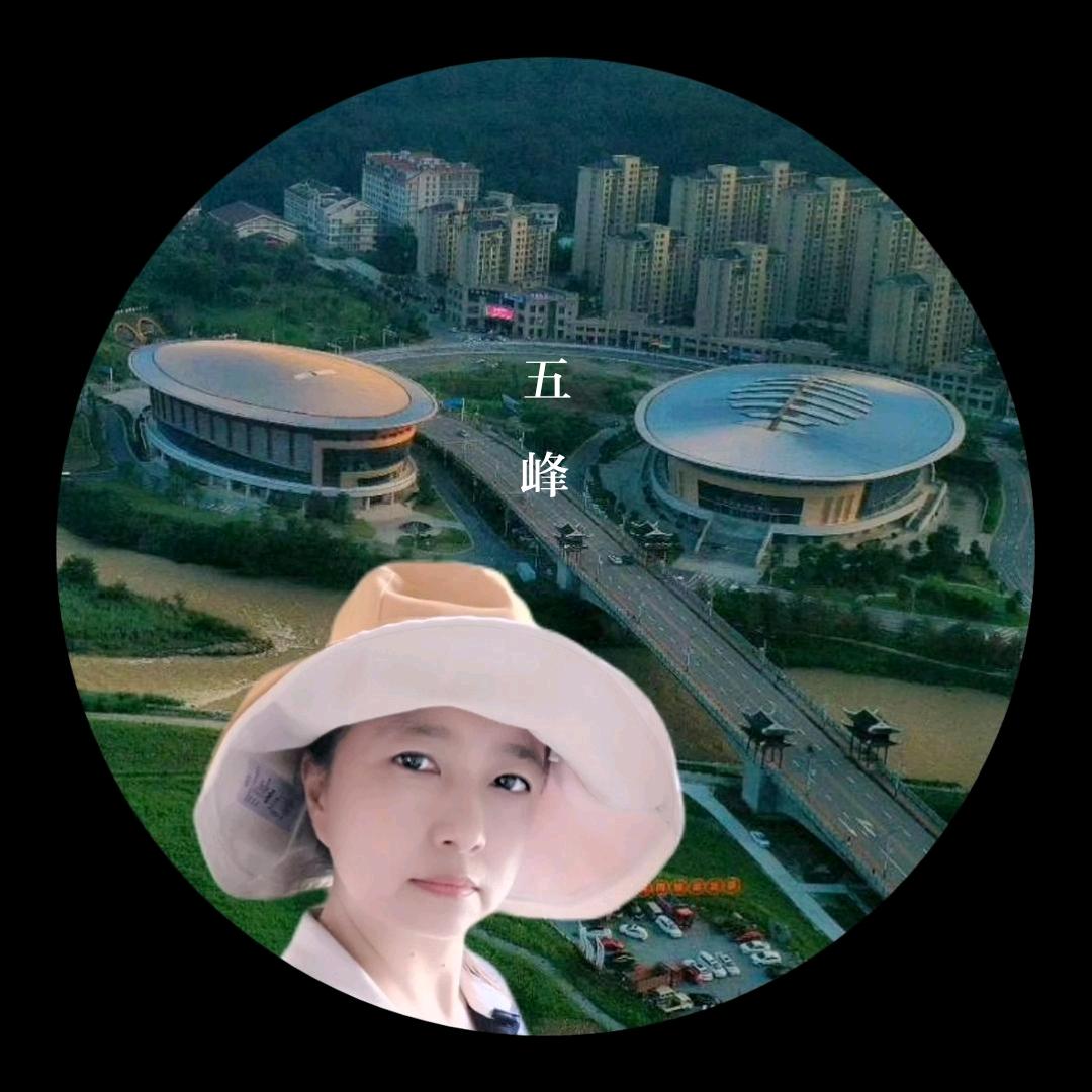 随拍客.📸