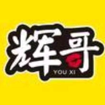 辉哥游戏解说.