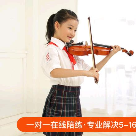 小提琴(金选好物)👍