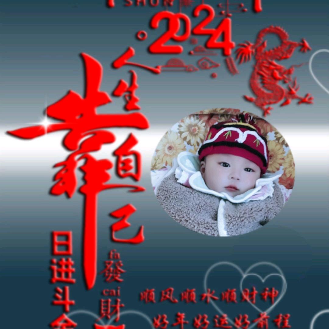 专业种植菠菜、香菜、小李