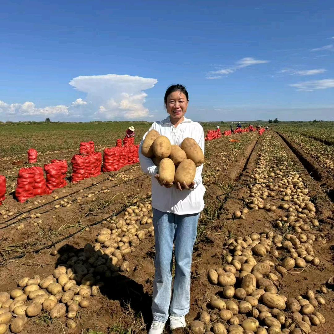 熊妹讲土豆（陕西新农人）