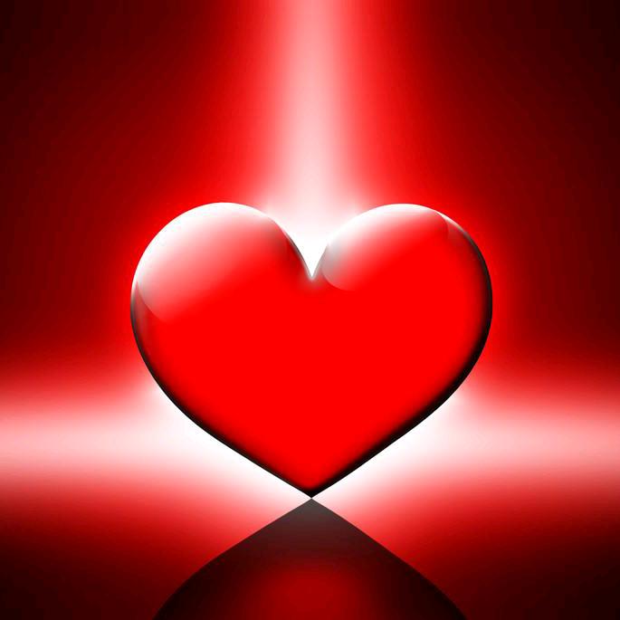 💫☀️（❤️LDZW❤️）🌙