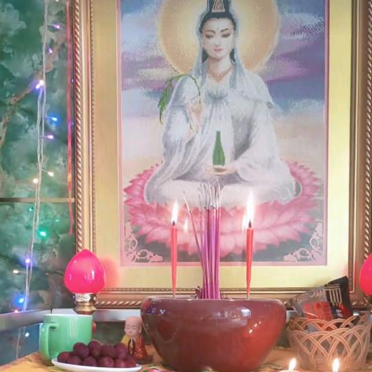 佛缘巜陈家姑娘六六年的马》