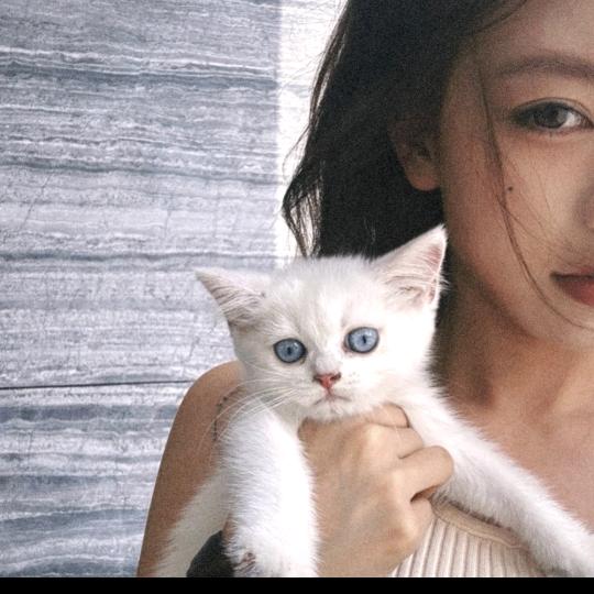 宝莉