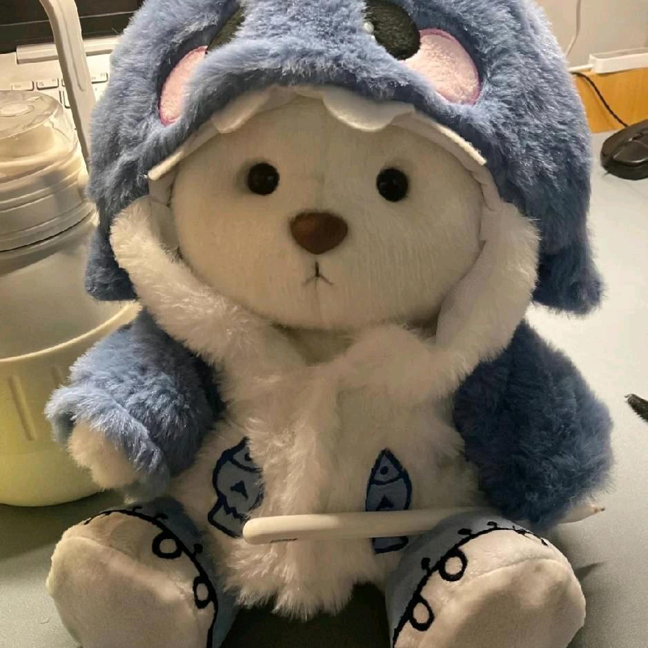 ❤️初心❤️（🫶）