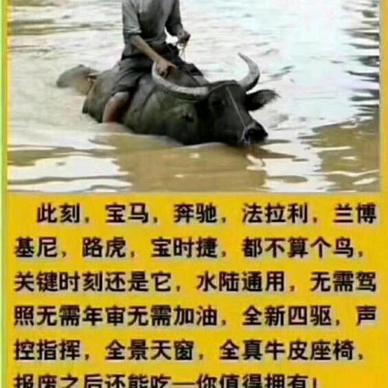 目标自愿工作
