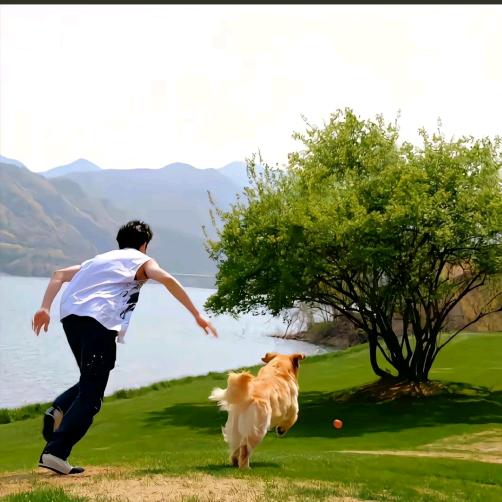 我嘞个逗