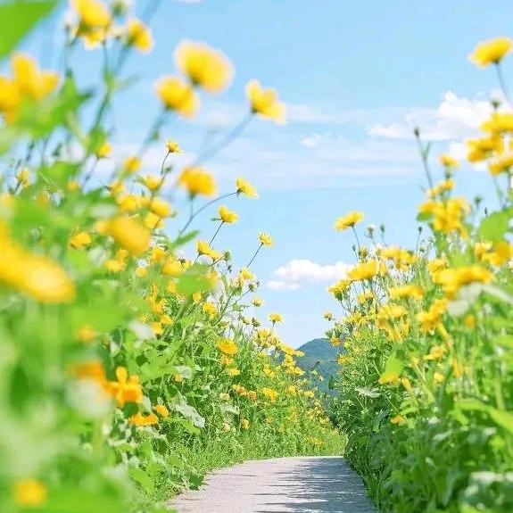 娥妈妈🎧(开播号主页早5:50)