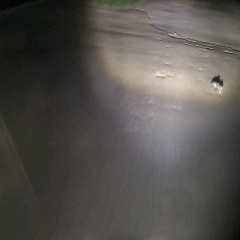 我是豆豆