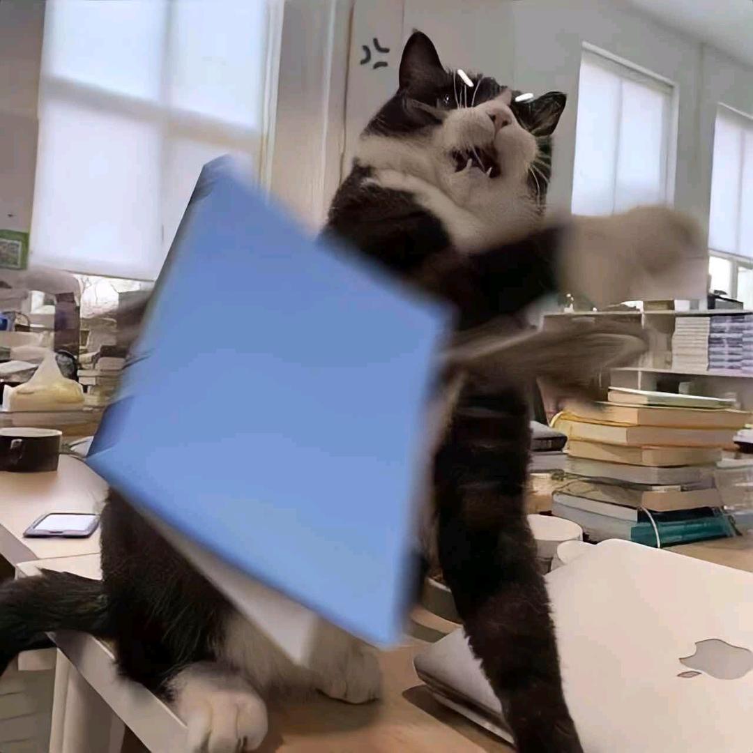 开着灵车挂着前女友黑白照去炸街