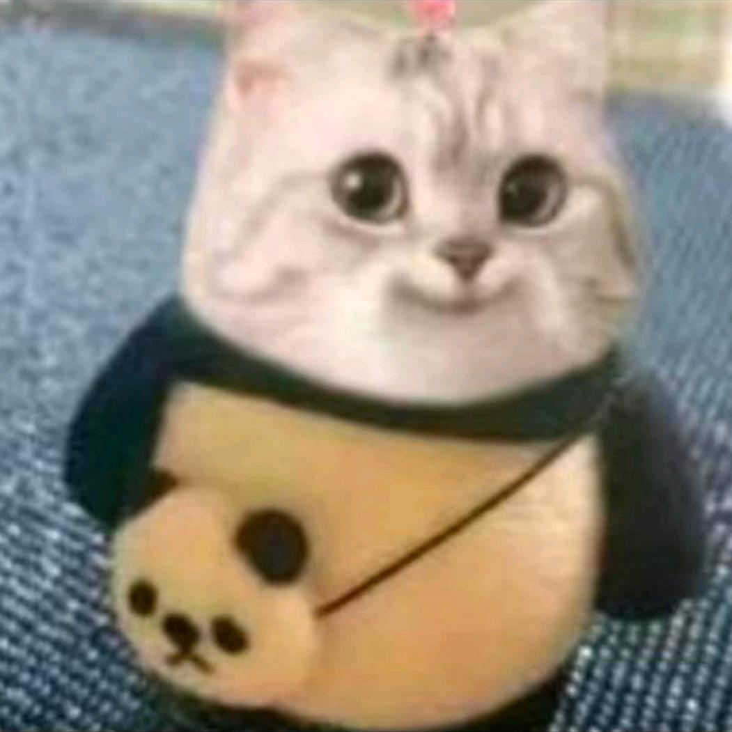菲菲