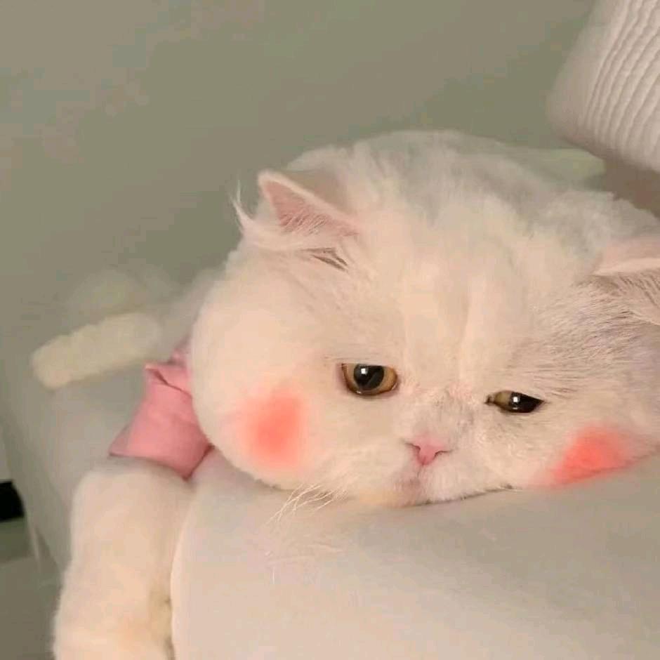漠河的黎明