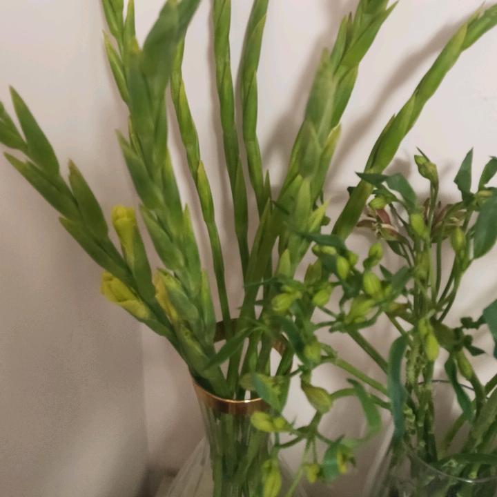 刘老师的思维课堂