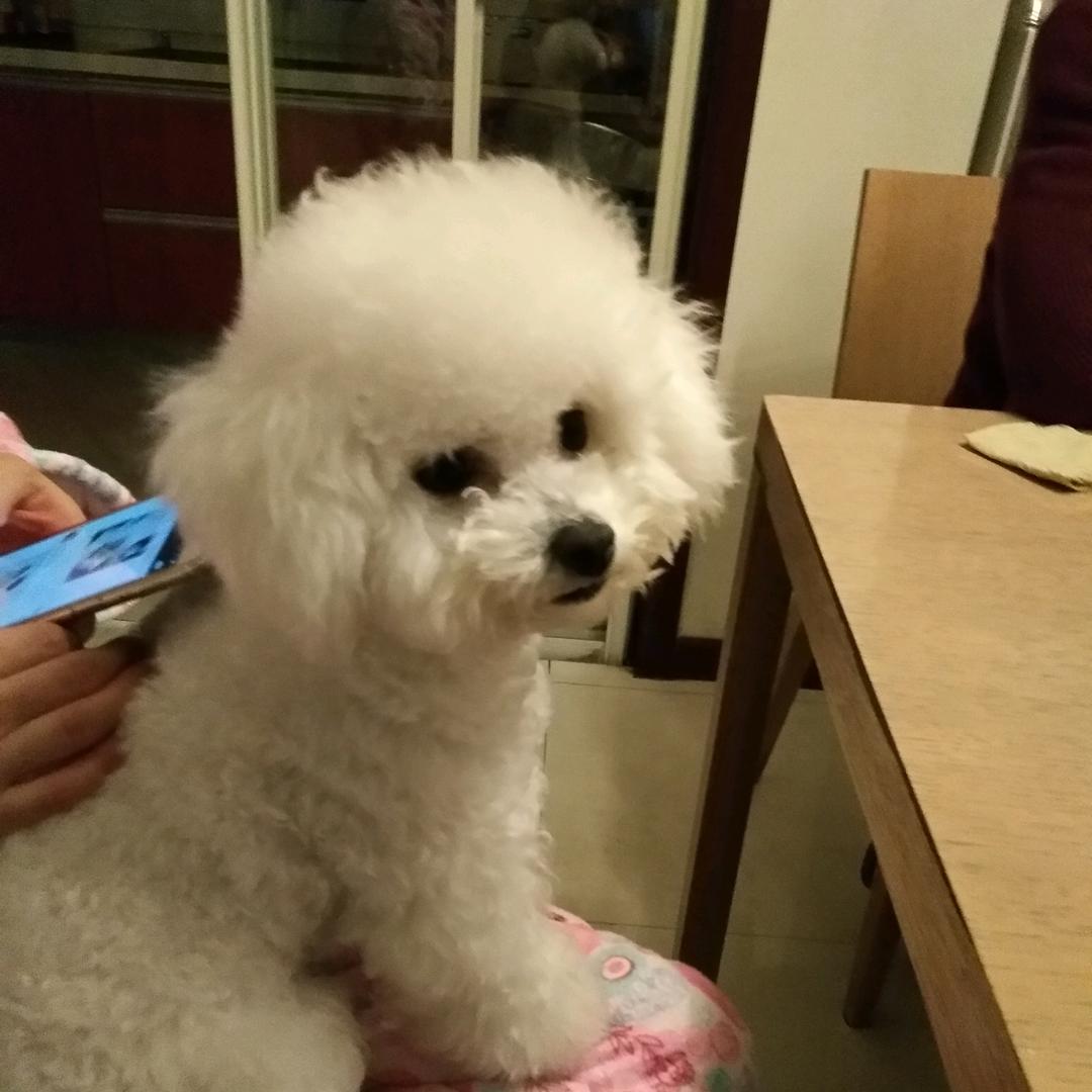 用户57360569