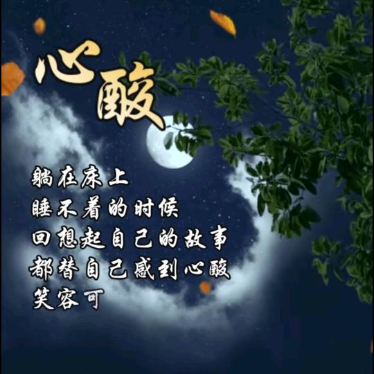 公众号