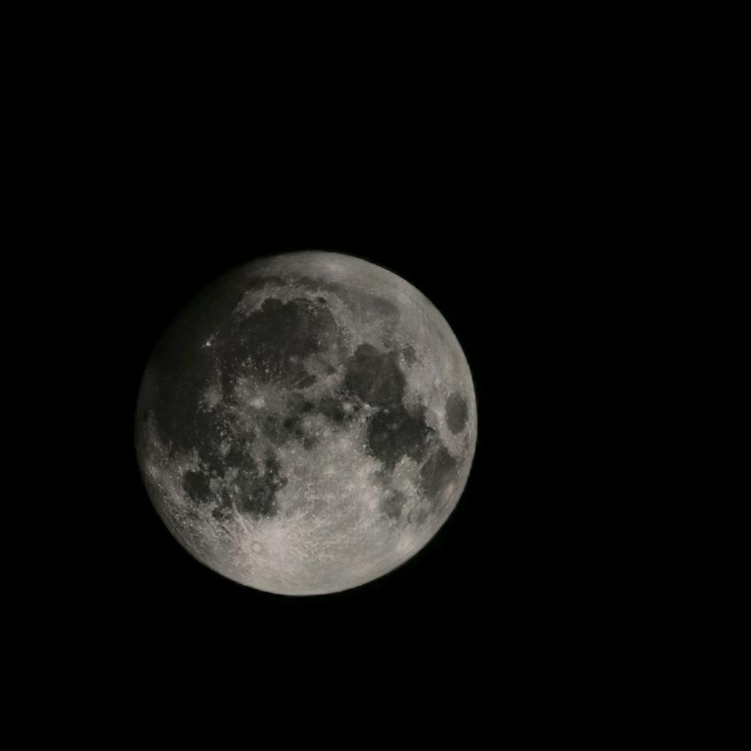 老白  （三角洲行动）