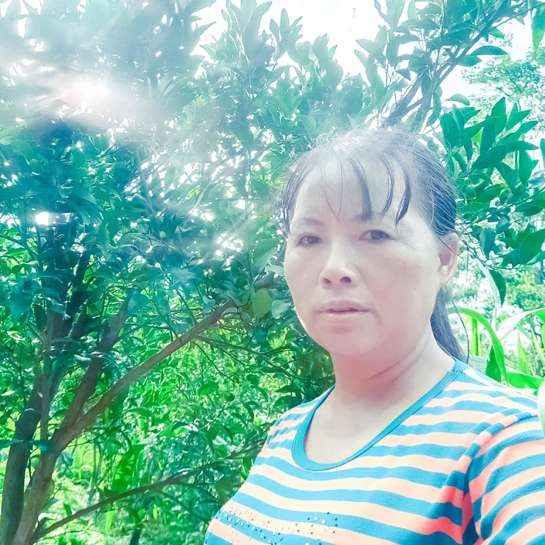 李启芬