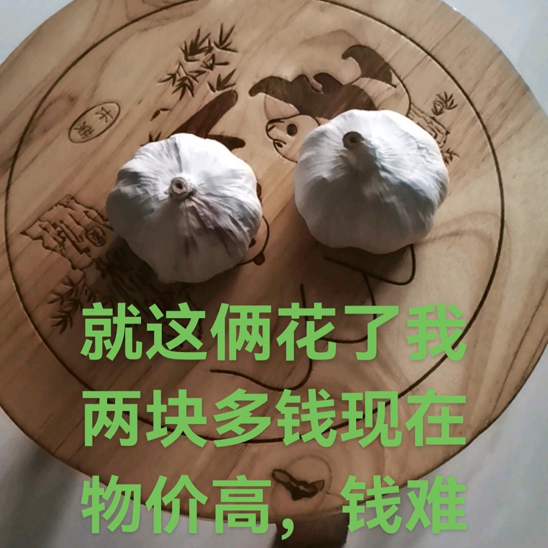 ❤️雅莉