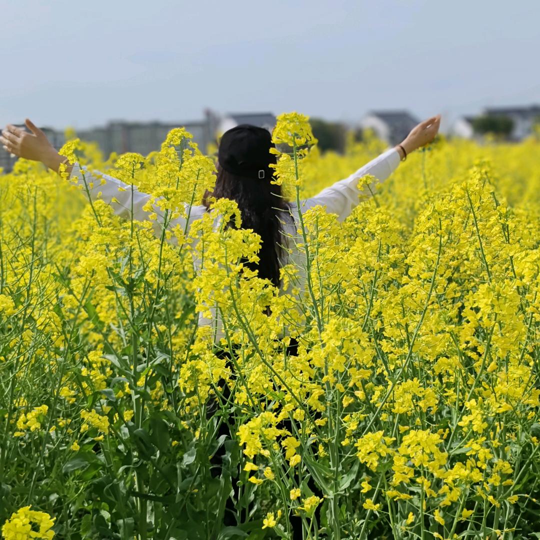 姐是低调老张