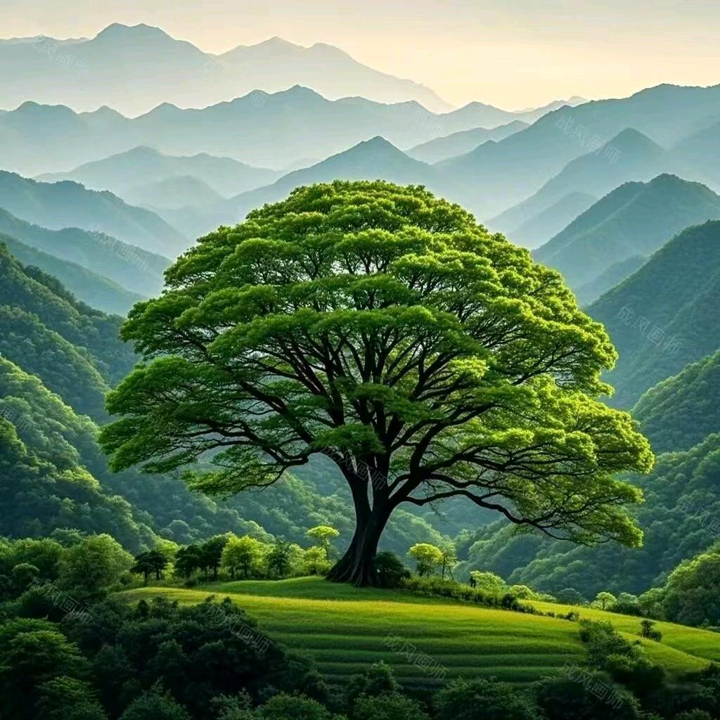 新化同城打印五分起