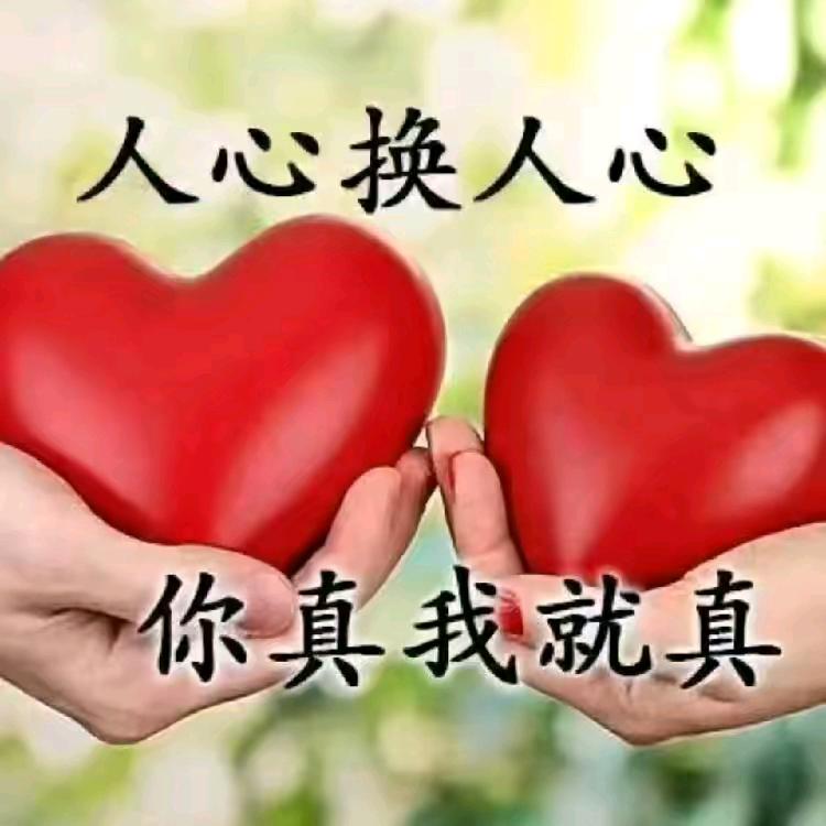 你有情我有意