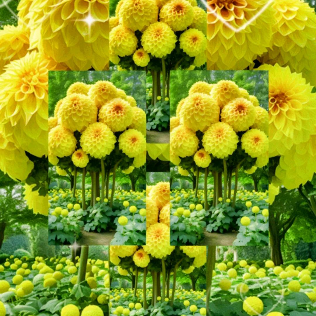 幸福一路