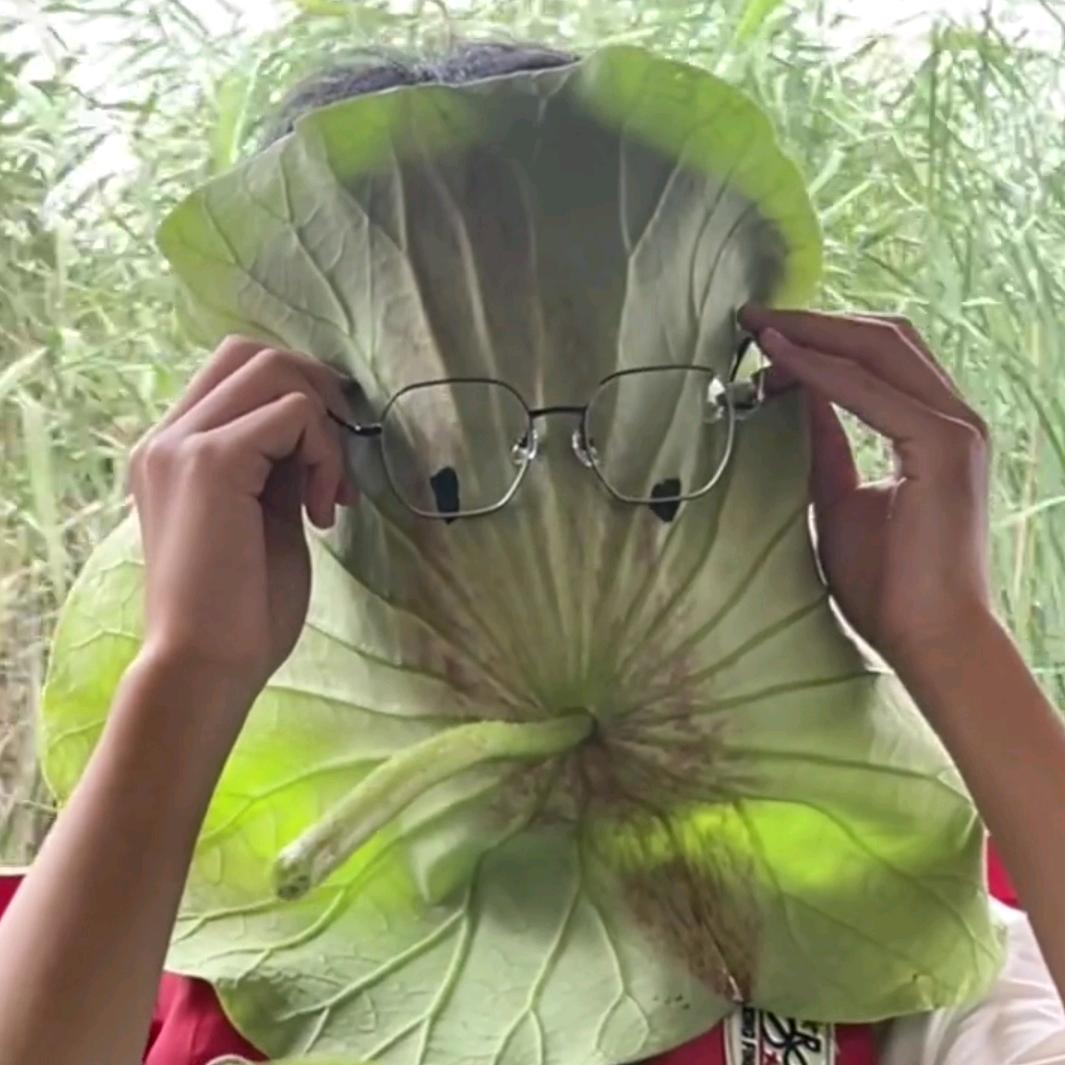 芋圆葡萄半糖少冰（荷叶猪）