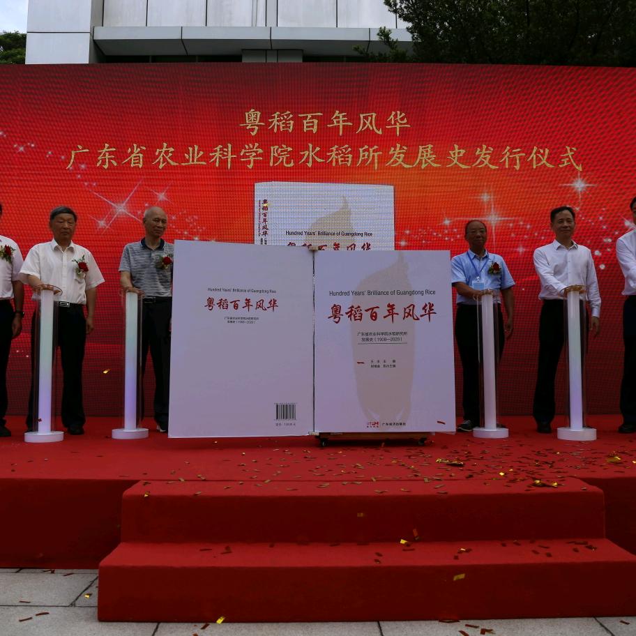 粤稻科技陈国荣