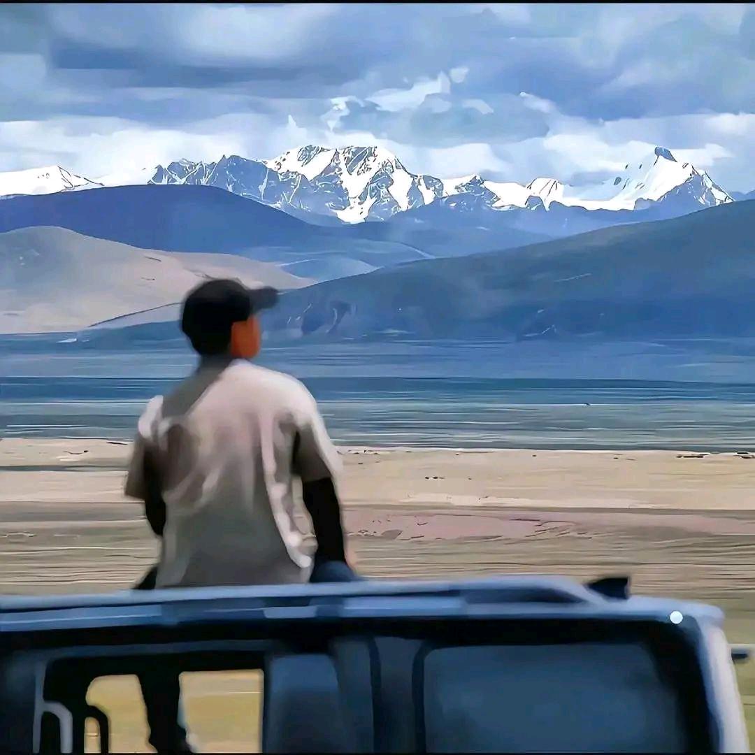 不羁的风.