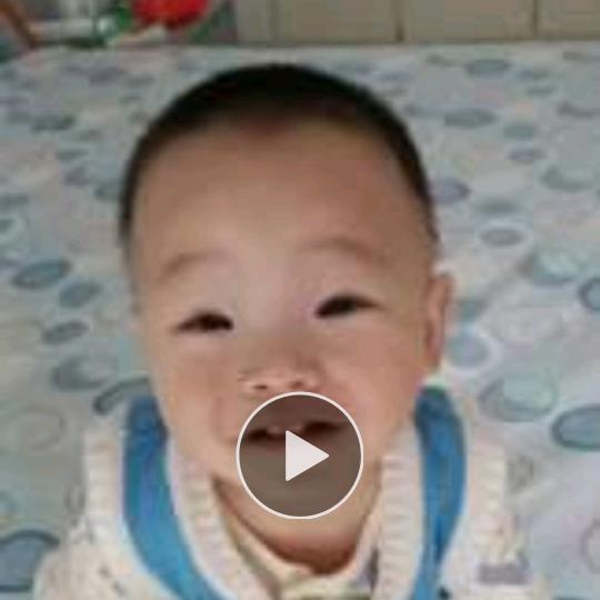 信鸽军哥