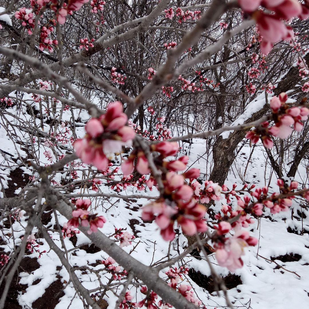 (｡･ω･｡)ﾉ封心锁爱♡(ꄱੈˍꄱੈ)