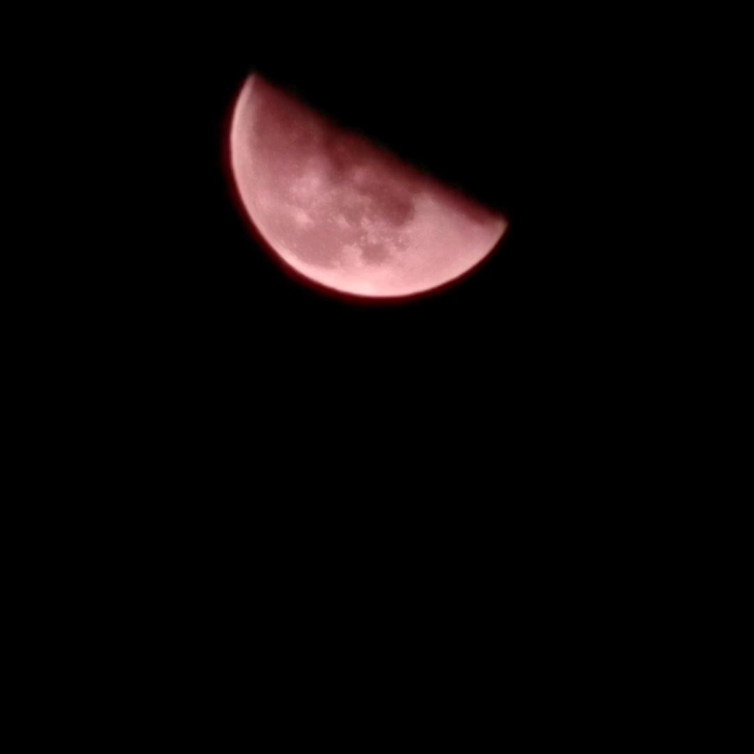 道法自然！邪祟走开