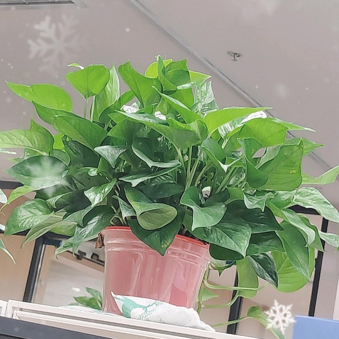 生命在于活动