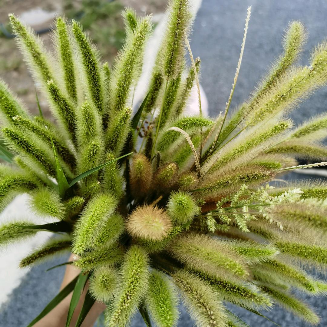 梦想远方☁⁶²⁸⁷