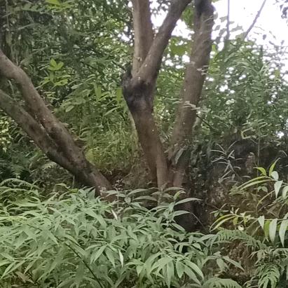 人生如戏戏如人生